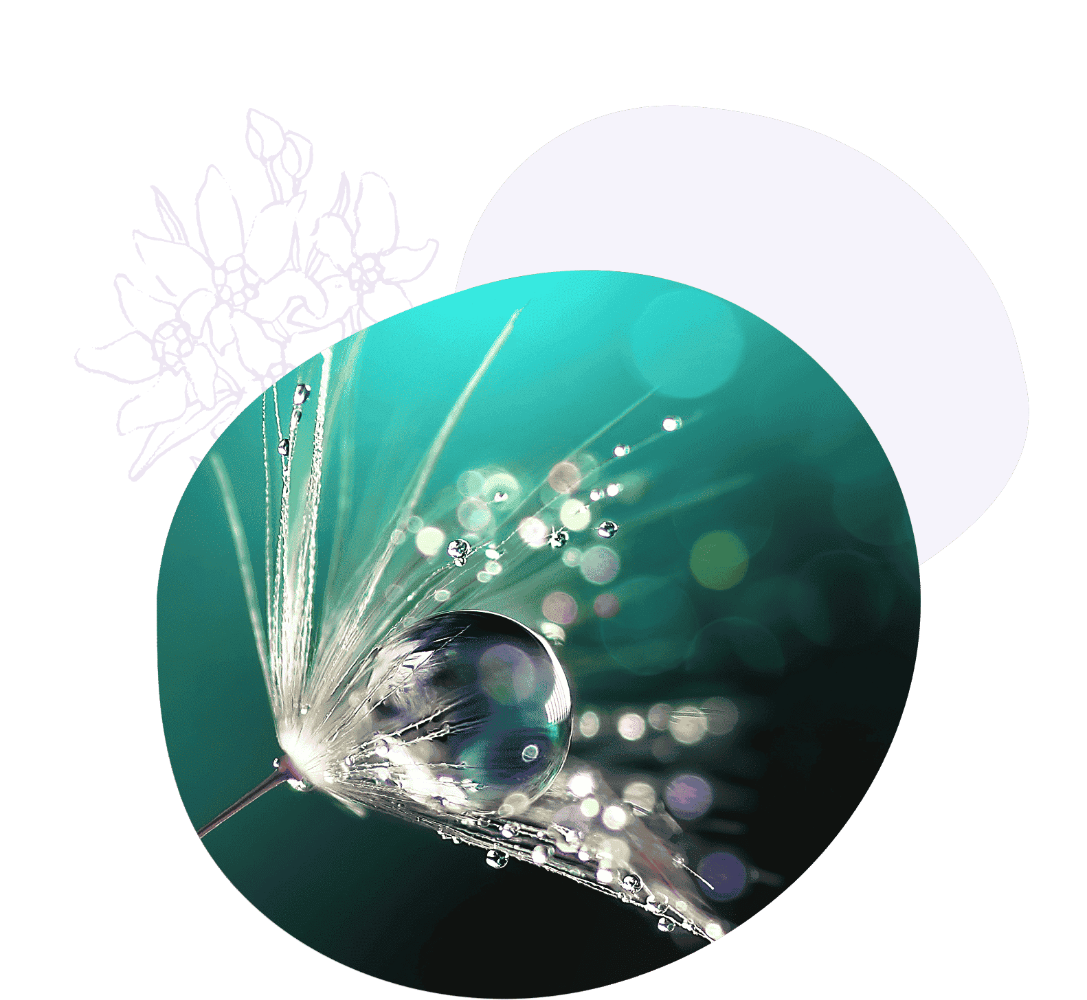 Glitzernder Wassertropfen auf der Pflanze