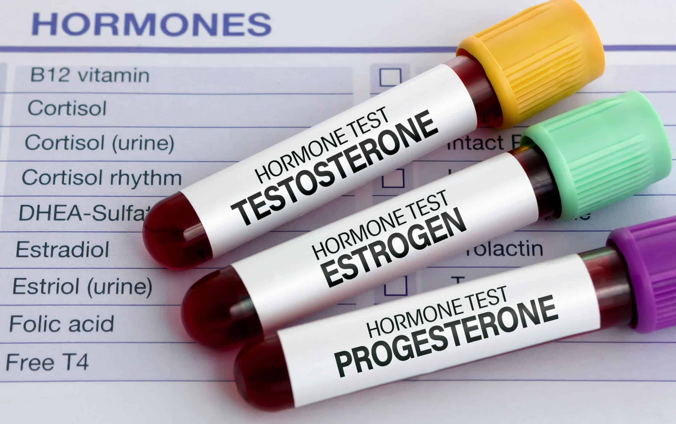 Hormone in den Wechseljahren