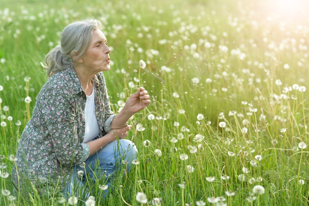 Postmenopause