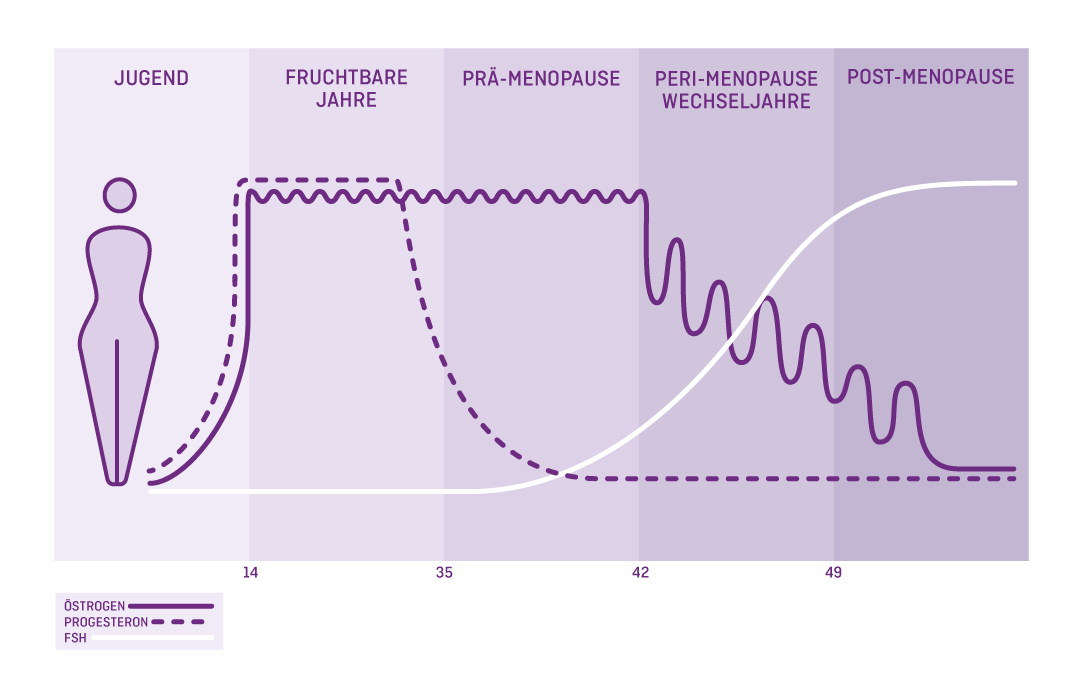 Meoelle-graphics-chart1