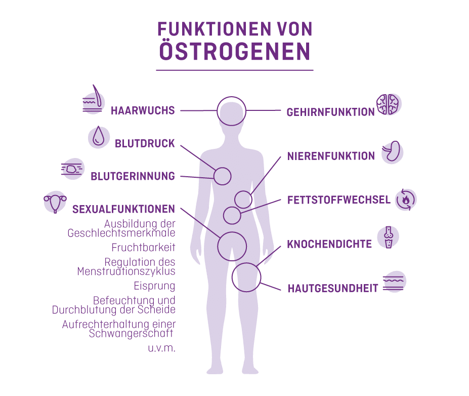 Estrogen-update